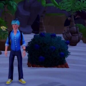 Emplacements Myrtille Disney Dreamlight Valley