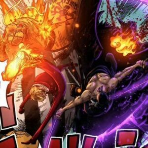 One Piece Épisode 1046 retardé