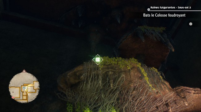 Fragments du cube de Chopper et Usopp ruines fulgurantes