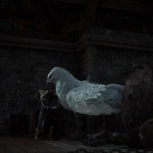 Aller sur le toit Quête Le haut donjon de L’héritage de Poudlard-9