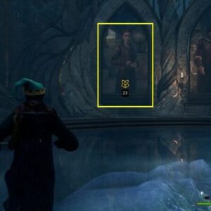 Comment parler au portrait du professeur Niamh Fitzgerald dans la salle de la Carte Hogwarts Legacy