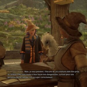 Cours sur les créatures magiques