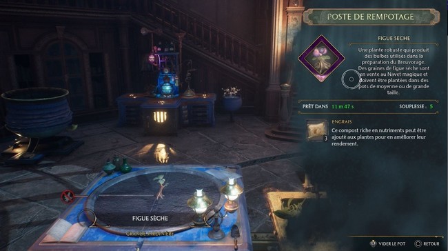 Cultivez-le dans la Salle sur Demande