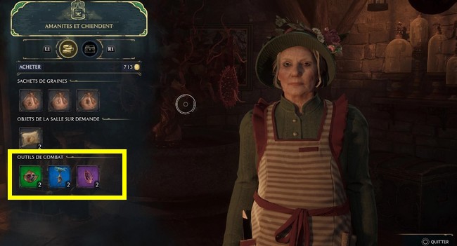 Devoir 2 du professeur Bulbille quête - Hogwarts Legacy-5