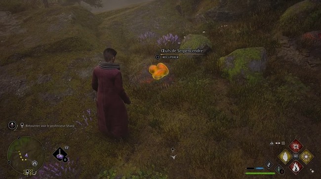 Emplacements Œufs de serpencendre Hogwarts Legacy-1