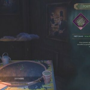 Comment obtenir des tiges de Sisymbre ?