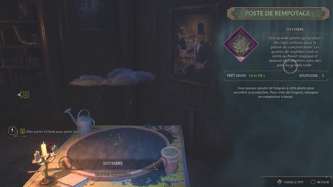 Comment obtenir des tiges de Sisymbre ?