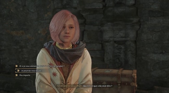 Faut-il apporter le cadre de Ferdinand aux Trois Balais ou à La Tête du sanglier dans Hogwarts Legacy-1