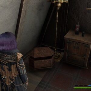 Fouillez les coffres Hogwarts Legacy