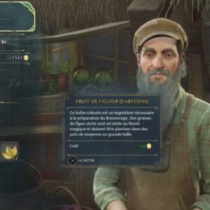 Fruit de figuier d'abyssinie Hogwarts Legacy