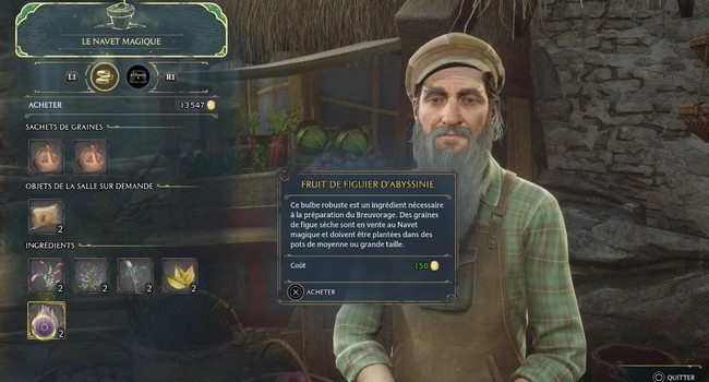 Fruit de figuier d'abyssinie Hogwarts Legacy