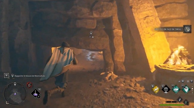 Mauvais sort végétal Hogwarts Legacy-4