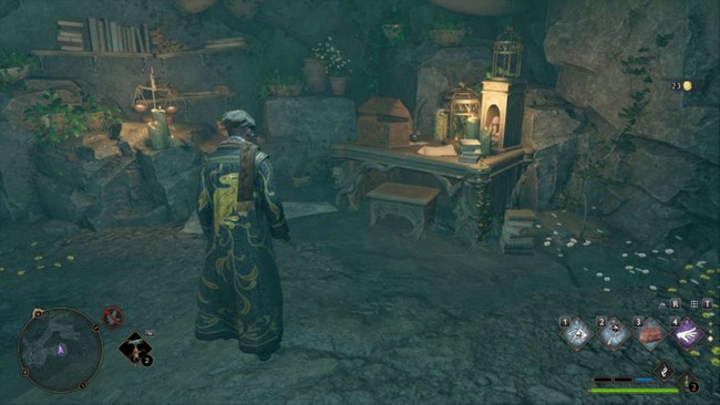 Mauvais sort végétal Hogwarts Legacy-5