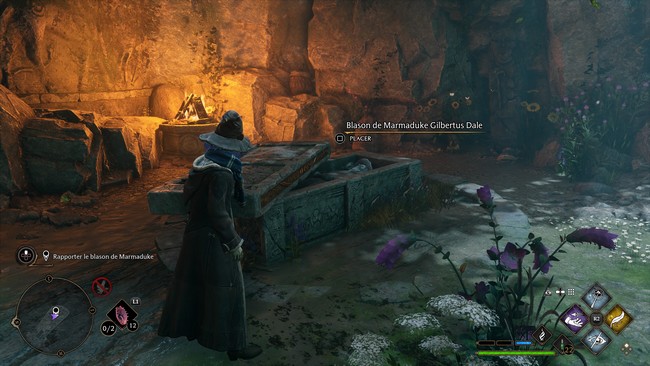 Mauvais sort végétal