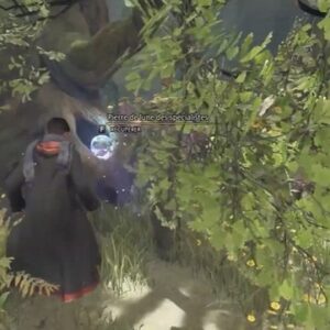 Quête Le Centaure et la Pierre Hogwarts Legacy-13