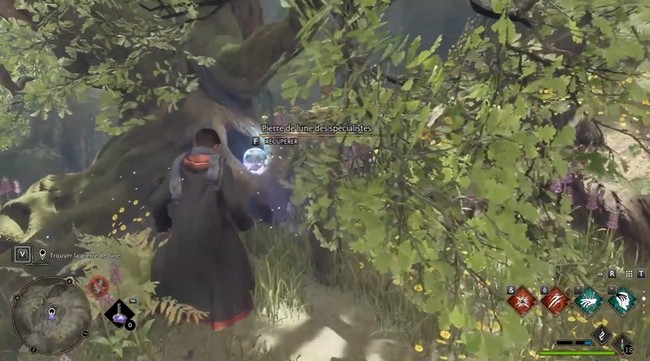 Quête Le Centaure et la Pierre Hogwarts Legacy-13