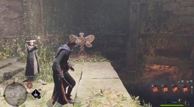 Quête Le Centaure et la Pierre Hogwarts Legacy-8