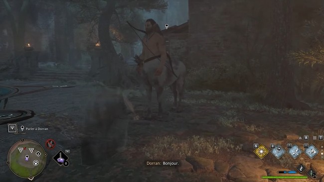 Quête Vol d'Oiseau Hogwarts Legacy-2