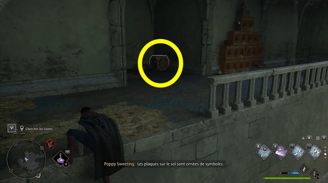 Quête Vol d'Oiseau Hogwarts Legacy-5