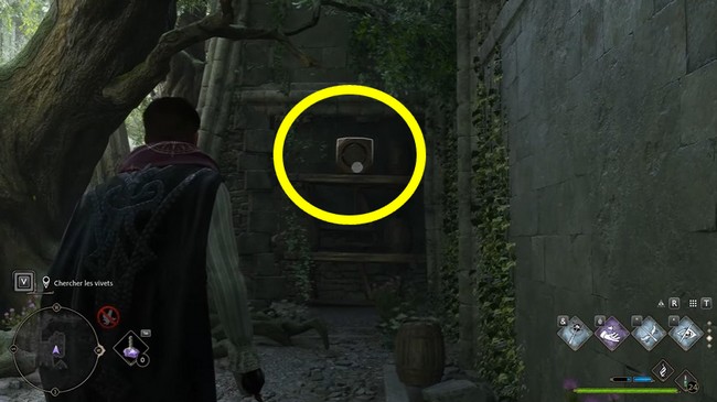 Quête Vol d'Oiseau Hogwarts Legacy-6