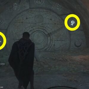 Quête Vol d'Oiseau Hogwarts Legacy-solution puzzle