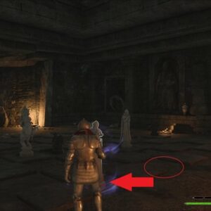 Solution Puzzle jeu d'échecs au Lac de Grottaleau-2