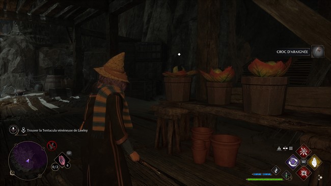 Tentacula vénéneuse Hogwarts Legacy