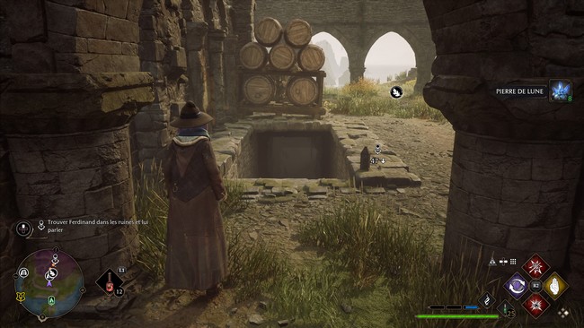 Un portrait dans de beaux draps Hogwarts Legacy