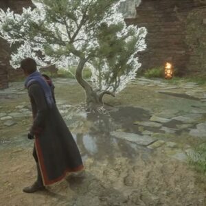 Un puits bien aimable Hogwarts Legacy