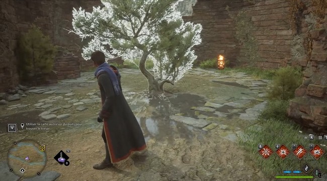 Un puits bien aimable Hogwarts Legacy