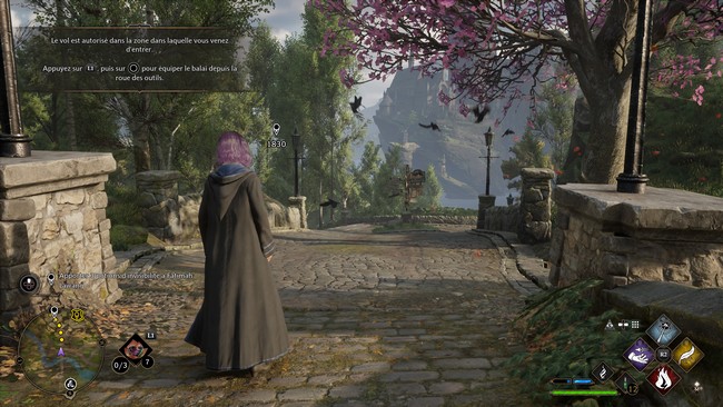 Hogwarts Legacy : L'Héritage de Poudlard Une livraison urgente