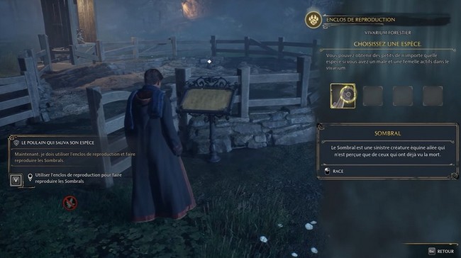 Utiliser l'enclos de reproduction pour faire reproduire les Sombrals dans Hogwarts Legacy -1