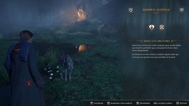 Utiliser l'enclos de reproduction pour faire reproduire les Sombrals dans Hogwarts Legacy 2