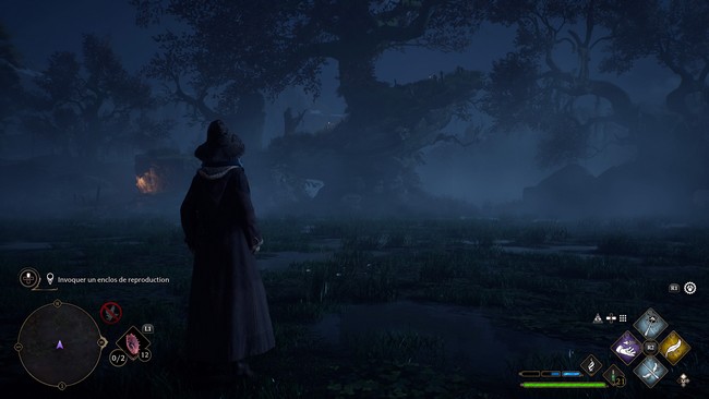 Vivarium du marais Hogwarts Legacy