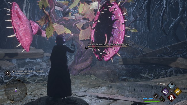 Quête Vaillance venimeuse Hogwarts Legacy : L'Héritage de Poudlard