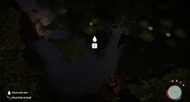 où trouver de l'eau dans Sons of the Forest