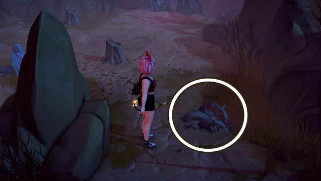 Fouillez les ronciers desséchés pour obtenir des graines de ronce