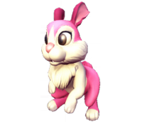 lapin rose de printemps