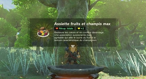 Assiette fruits et champis Max Tears of the Kingdom