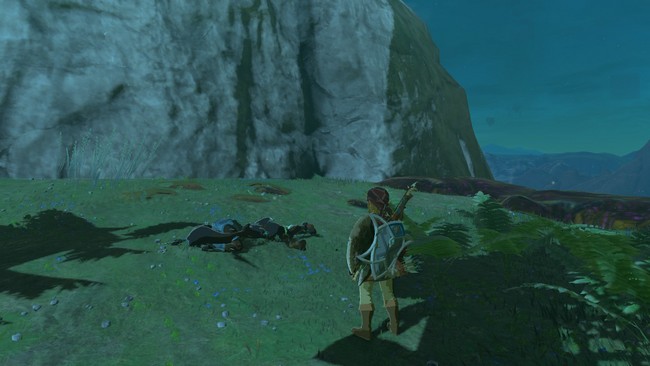 Couvert de vase Zelda Tears Of The Kingdom-2