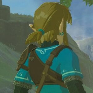 Emplacement Anneau capillaire Zelda Tears of the Kingdom