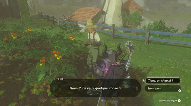 Goutiée ou Baldinn Zelda Tears of the Kingdom-Emplacement Filip