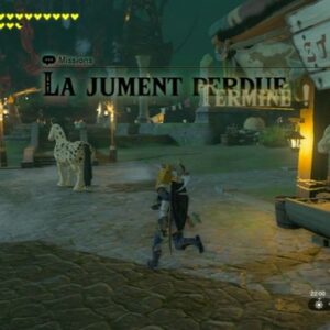 La jument perdue-Zelda Tears Of The Kingdom-6
