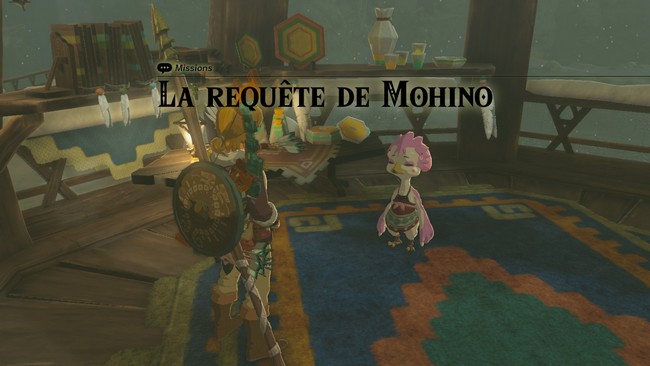 La requête de Mohino- Zelda Tears Of The Kingdom