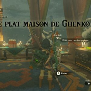 Le plat maison de Ghenkott- Zelda Tears Of The Kingdom-1