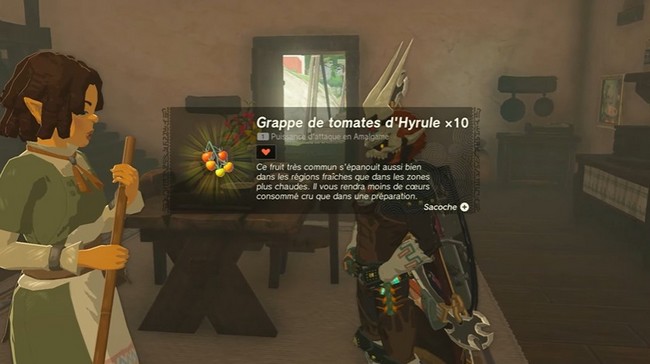 Le secret de Baldinn Zelda Tears of the Kingdom