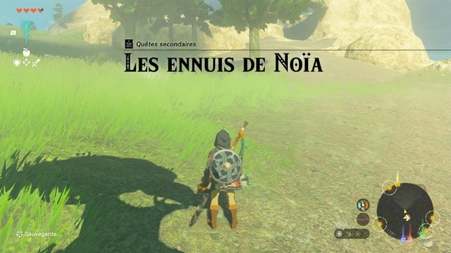 Les ennuis de Noïa Zelda Tears Of The Kingdom