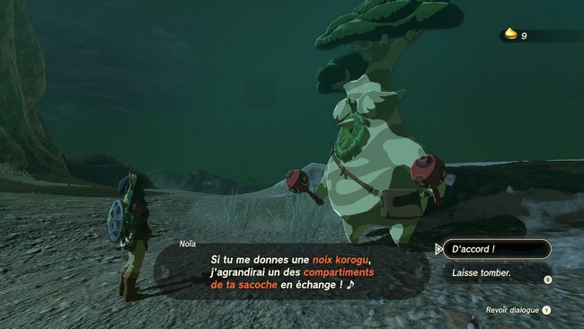 Les ennuis de Noïa Zelda Tears Of The Kingdom-3