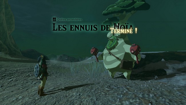 Les ennuis de Noïa Zelda Tears Of The Kingdom-3