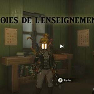 Les joies de l'enseignement 2-Zelda Tears Of The Kingdom